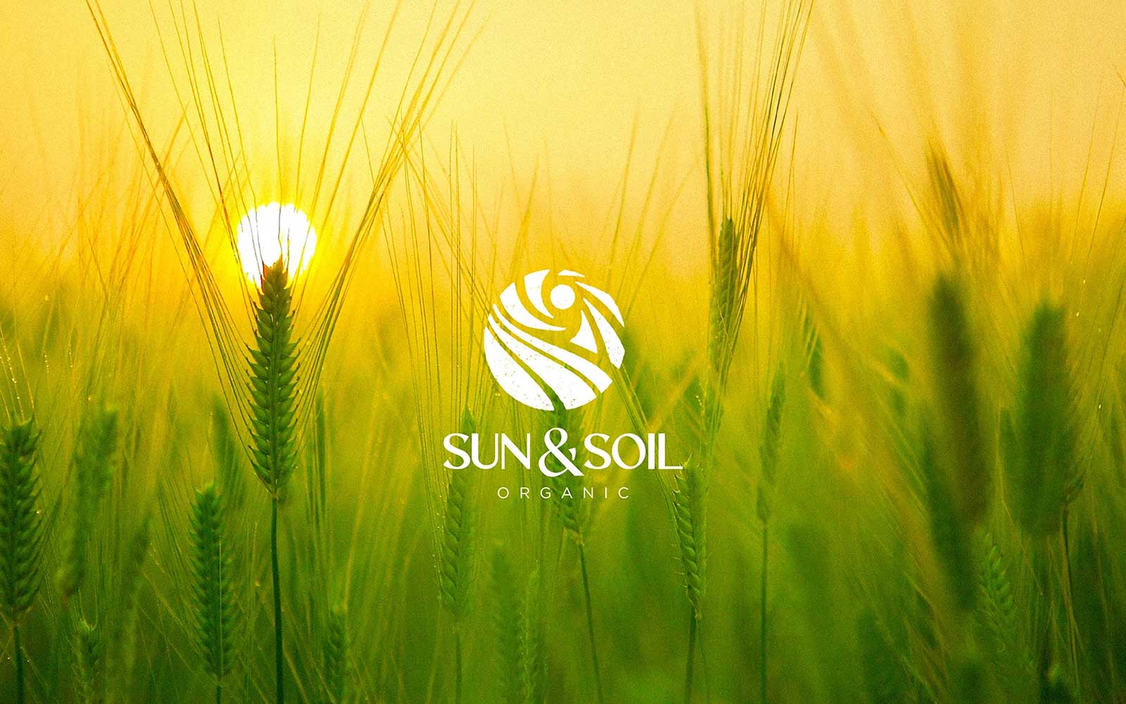 sun-and-soil
